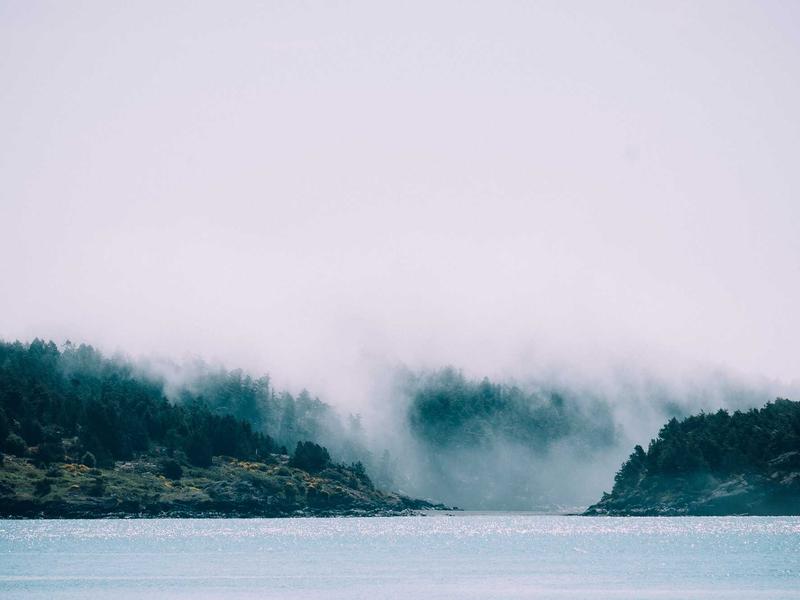 sudoku brain exercise screenshot 3